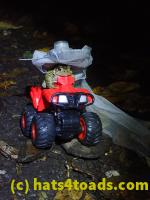 /home//u458753944/public_html/sourcegallery//McKaig Nature Center/2020-10-11/PA110741.JPG